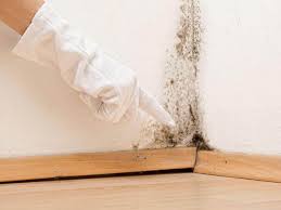 Best Mold Remediation for Healthcare Facilities  in Franklin, CA